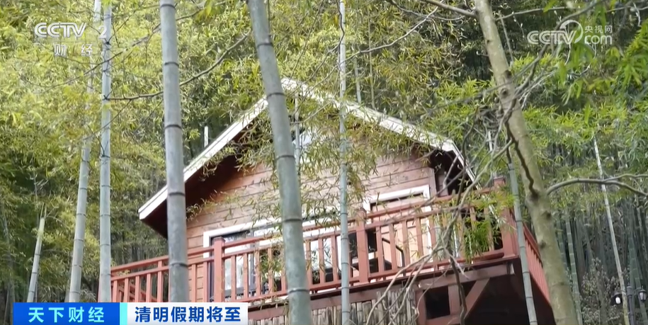 BOB体育篮球直播-春游升温民宿预订、汽车租赁、郊外露营迎来高峰期(图1)