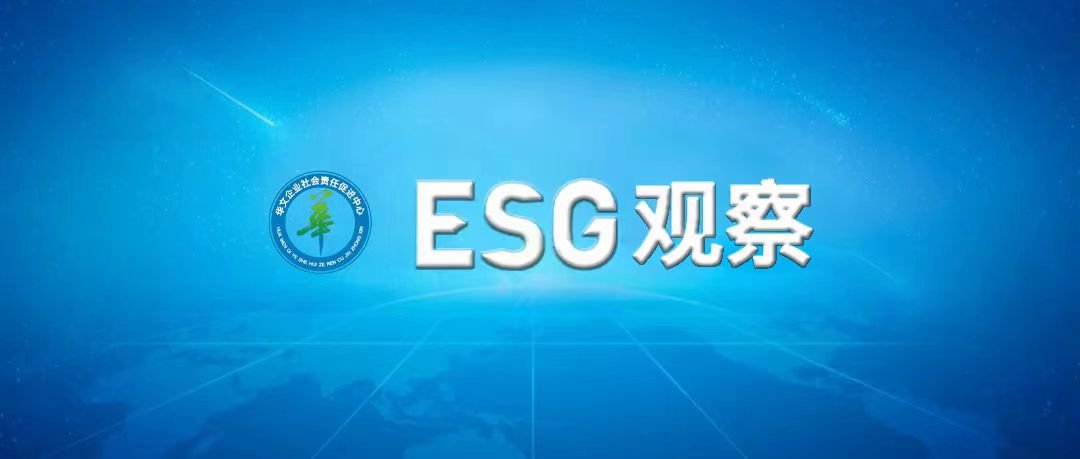 BOB体育篮球直播-陷阱重重艰难博弈租车公司收割网约车司机