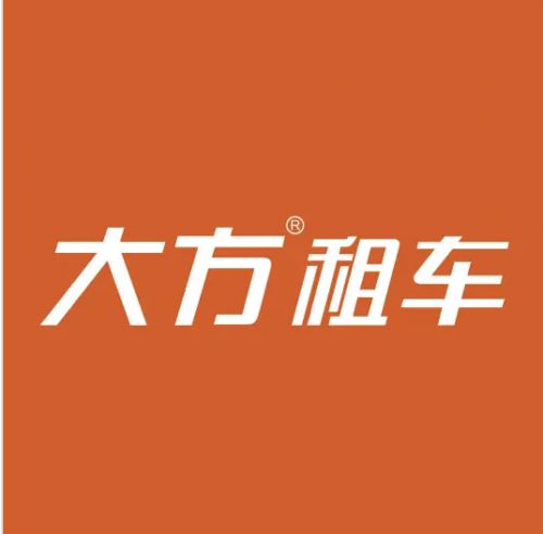 国内租车平台对比轻松出行不再难(图4)